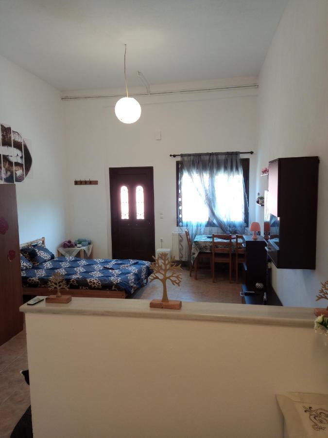 Tzoumerka Panorama Pramanta Bagian luar foto